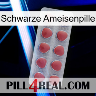 Black Ant Pill 18